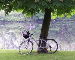 velo nature