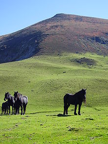Cheval