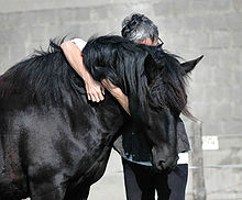 Cheval