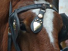 Cheval
