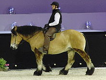 Cheval